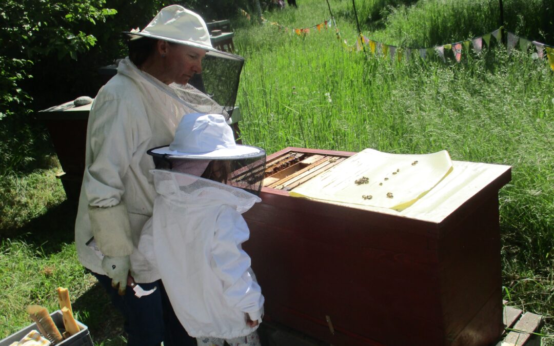 Projekt des Obst- und Gartenbauvereins