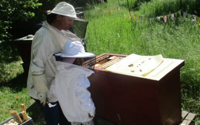 Projekt des Obst- und Gartenbauvereins